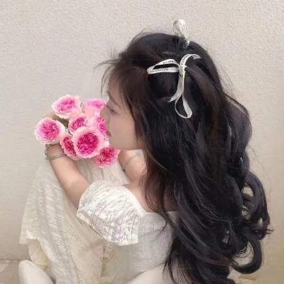 扭计大贼