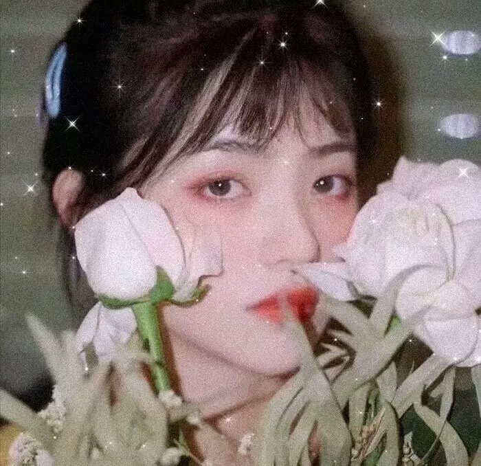 药屋少女的呢喃第二季