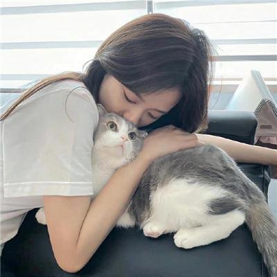 功夫之王